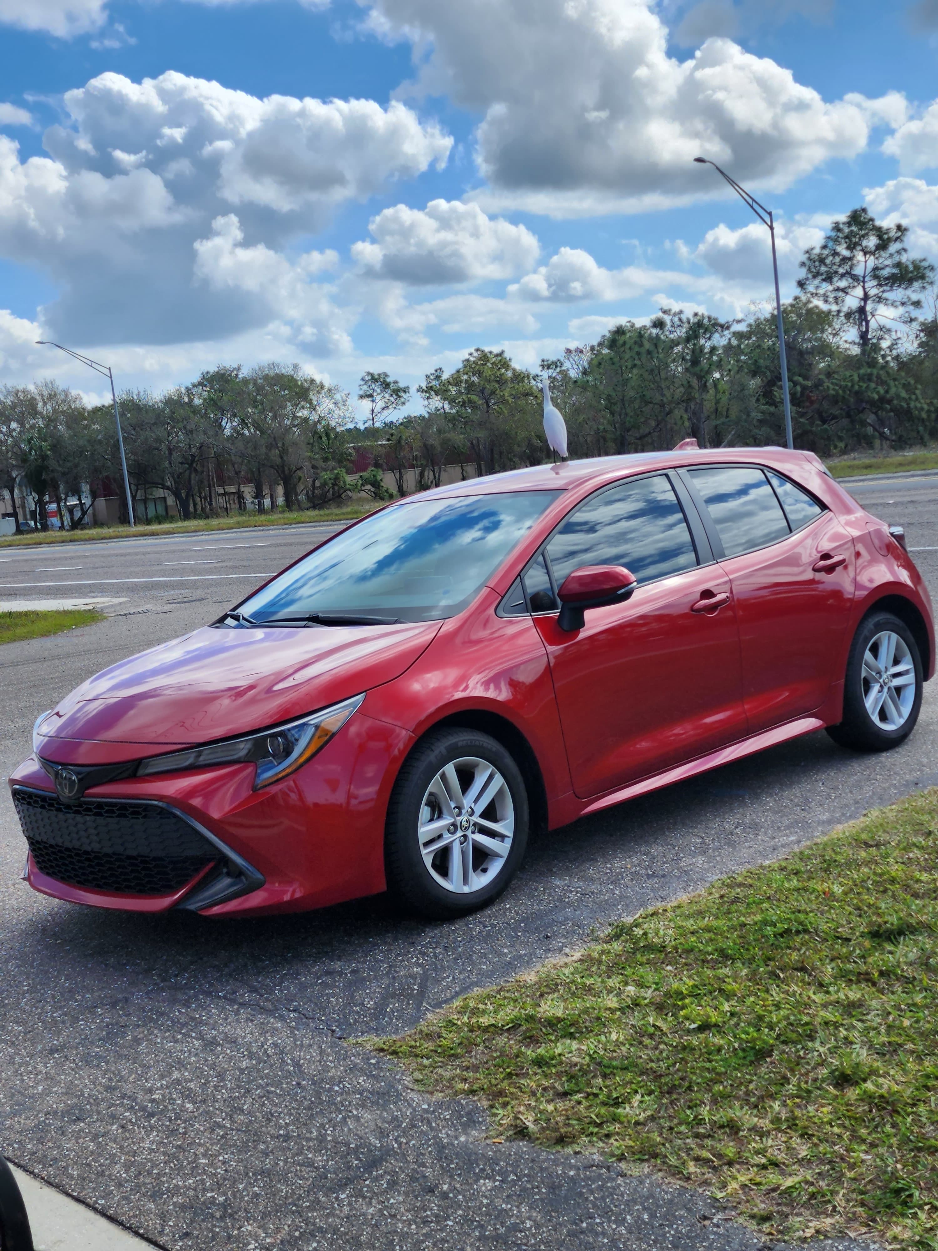 Toyota Corolla SE